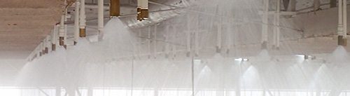 天井に設置された544本のノズルから、雨が一斉に噴き出します
