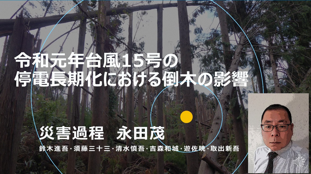 令和元年台風15号の停電長期化における倒木の影響