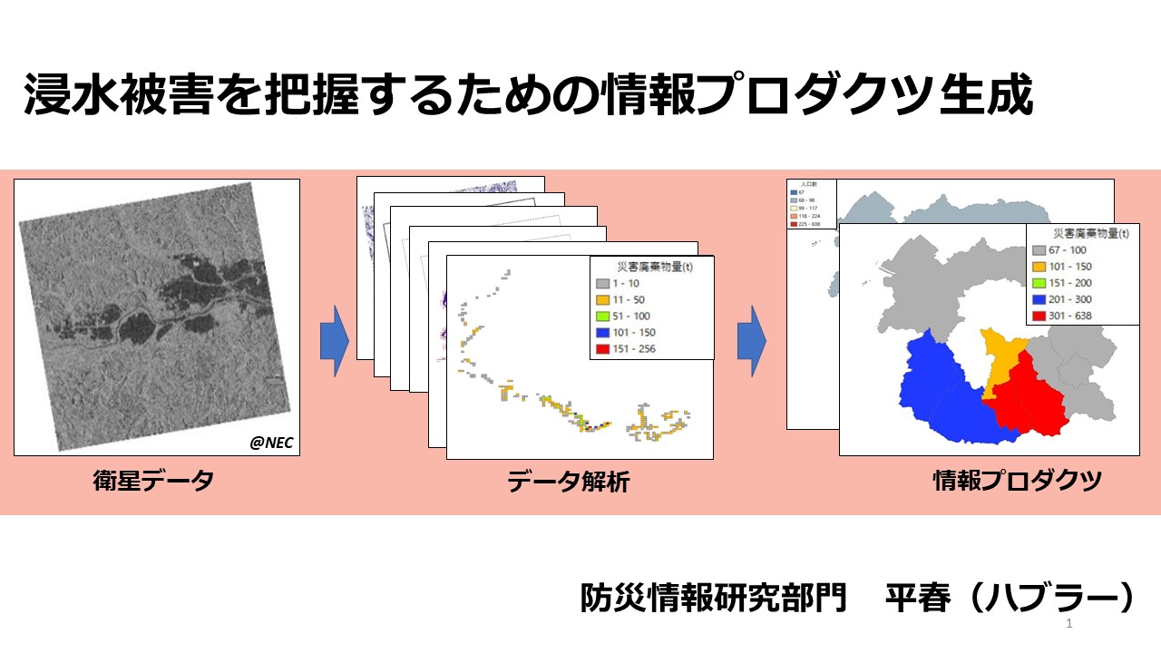 浸水被害を把握するための情報プロダクツ生成