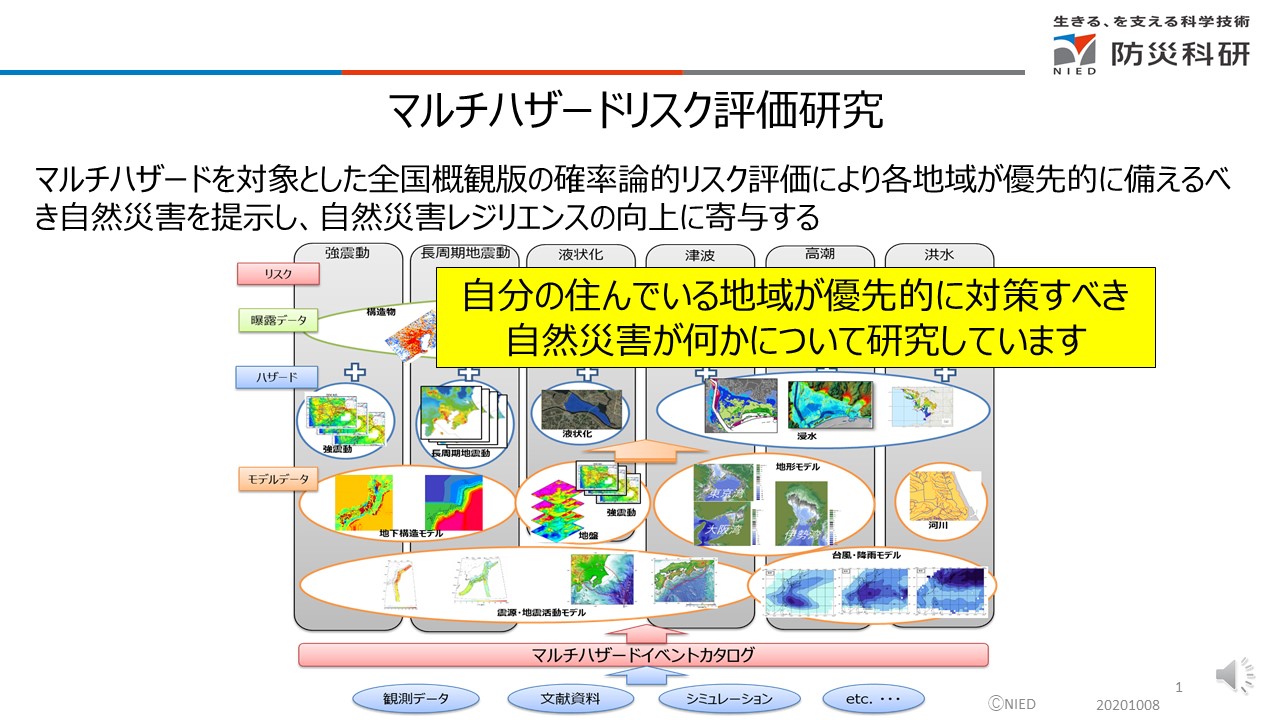 マルチハザードリスク評価研究