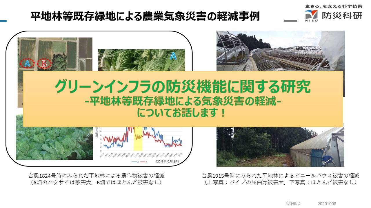 グリーンインフラの防災機能に関する研究-平地林等既存緑地による気象災害の軽減-