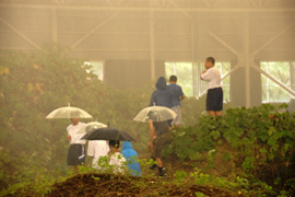 特別授業での豪雨体験。傘なんて効かないかな？！