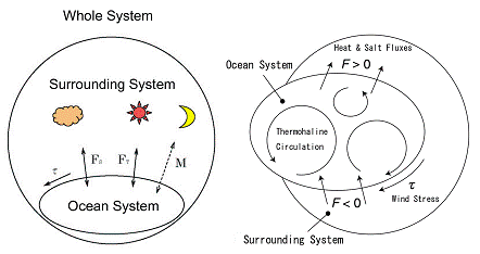 図1。非平衡開放系としての海洋系（左）とその海洋系における海洋循環の形成（右）。