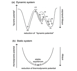 図３（右図）。エントロピー生成率最大説の概念図。孤立系では、エントロピー最大の平衡状態へと向かう（熱力学の第二法則、図(b)）が、大気や海洋のような平衡から遠く離れた開放系では、エントロピー生成率最大の状態へ向かう（MEP、図(a)）。