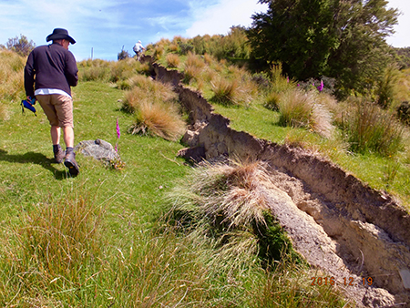 「山地を横切る断層」2016NZ カイコウラ地震によるStone Jug断層その1、地表面近景( 北向き)：断層が緑草地を切り裂き、風化した砂岩と泥岩堆積物が露出した