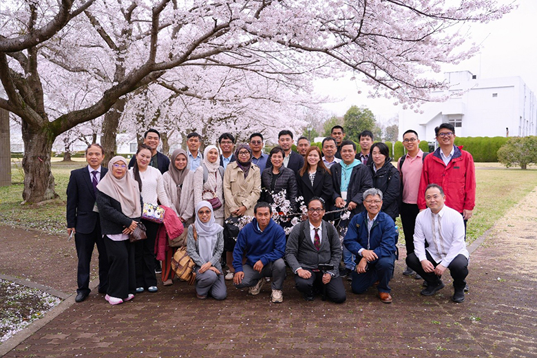防災科研内の中庭で撮影した集合写真（桜が咲いている）