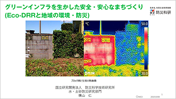 グリーンインフラを生かした安全・安心なまちづくり（Eco-DRRと地域の環境・防災）