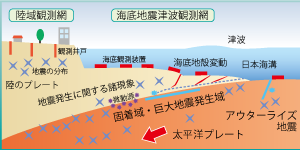 海溝型地震発生域の諸現象
