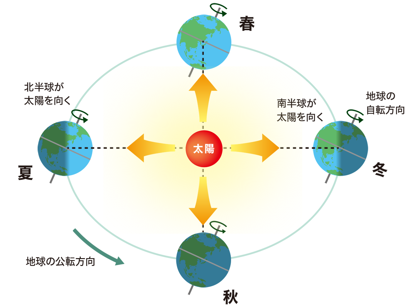 太陽のまわりを公転する地球の位置によって、春・夏・秋・冬が生まれることを示した図。地球は自転軸が約23.4度傾いて描かれ、太陽からの光が矢印で示されている。地球の位置ごとに、どの半球が太陽の光を多く受けるかが分かるように色分けされている。：イラスト