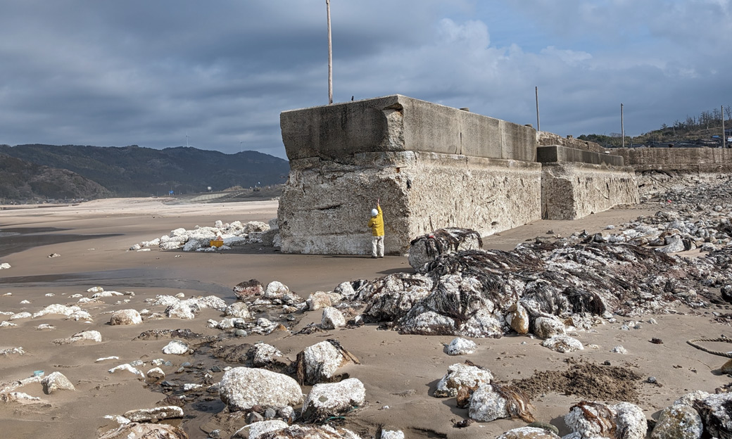 能登半島地震による海岸の隆起（輪島市西部の海岸沿いで撮影）小さな漁港の出口で地震前は海の中だったが、地震によって3m以上隆起した。写真左奥の砂浜も地震前は海の底であった。：写真