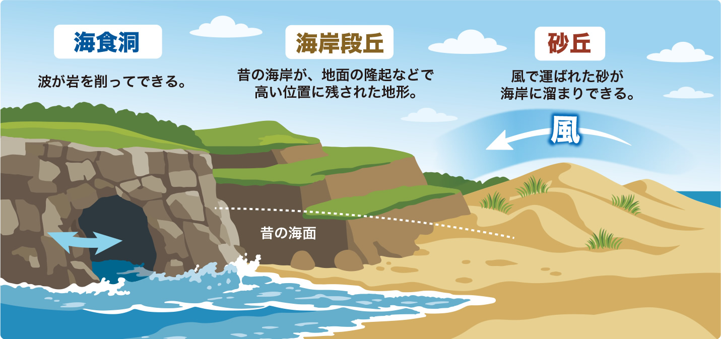 波や風のはたらきによってつくられる沿岸の地形を示した図。左に波が岩を削ってできた海食洞、中央に昔の海面が高い位置に残った海岸段丘、右に風で運ばれた砂がたまってできた砂丘が描かれている。：画像