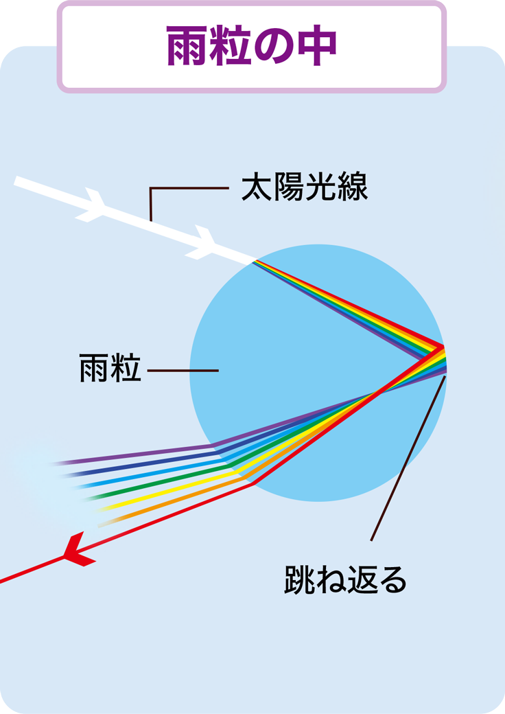 雨粒の中 虹が見えるしくみの解説図。太陽の光が雨粒の中に入り、色に分かれてはね返り、外へ出ていく様子を示しています。：画像