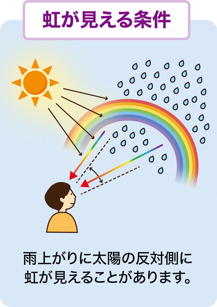 虹が見える条件 虹が見えるしくみの解説図。太陽を背にして雨のほうを見ると、空に虹が見えることがある様子を示しています。：画像
