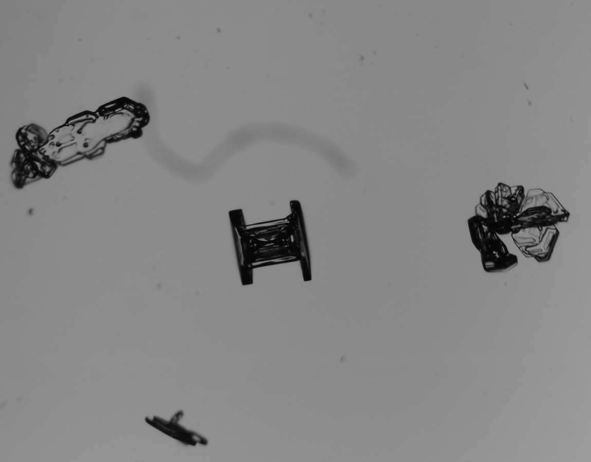 上空の激しい気温変化により、六角板状から柱状へと形を変化させた鼓のような形の雪結晶の写真。：写真