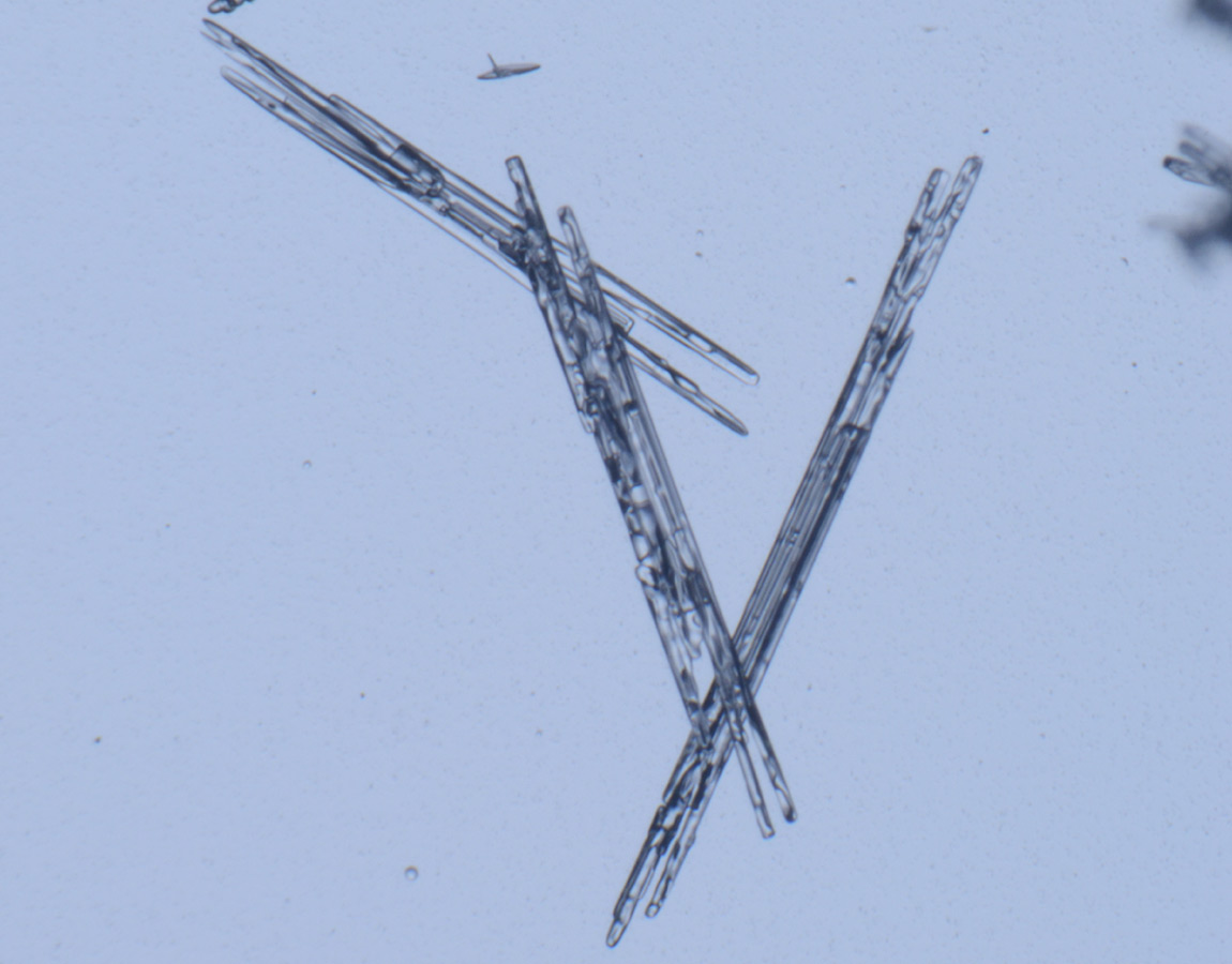 比較的暖かく湿度が高い環境で成長する、細長い柱のような形の雪結晶の写真。：写真