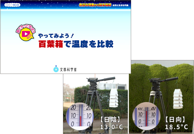 動画／ワークシート：画像