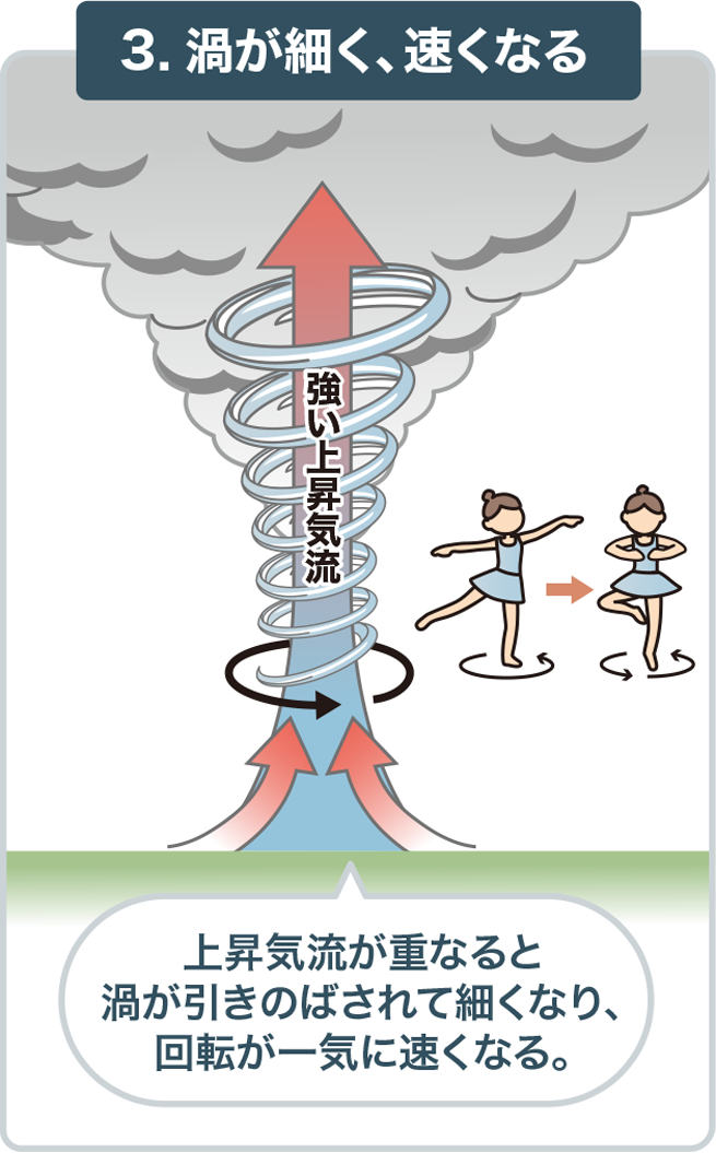 3.渦が立ち、速くなる 竜巻の発生のしかたの解説図。回転する空気が上昇気流に引き上げられて、縦にのびながら細くなり、回る速さが増す様子を表しています。：画像