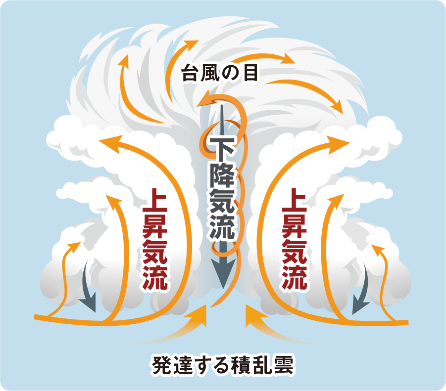 台風の中の空気の動きを表した図。中央では下降気流として空気が下にさがり、まわりではあたたかい空気が上昇気流で上にのぼって大きな雲が発達している。上空では空気が外に広がり、台風の目のまわりをぐるぐる回っている様子が矢印で示されている。：画像