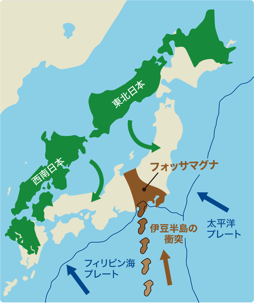 日本列島の下で太平洋プレートとフィリピン海プレートが沈み込み、東北日本と西南日本が動く様子を示した図。伊豆半島の衝突による地形の変化も描かれている。：画像