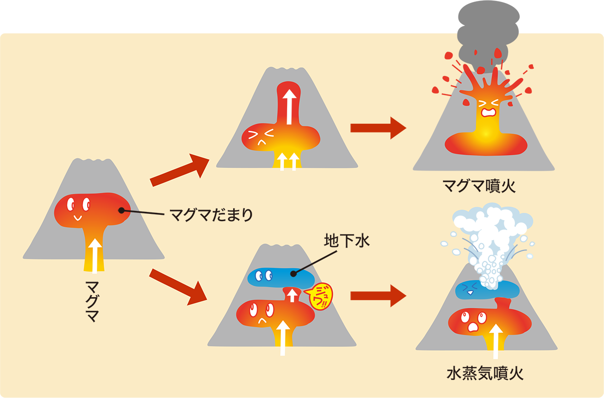 火山の内部でマグマが上昇して起こるマグマ噴火と、地下水がマグマに加熱されて水蒸気が急にふくらむことで起こる水蒸気噴火のしくみを、図で比べて示したもの。：画像