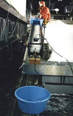 Experiment of slush flow in the large cold room.