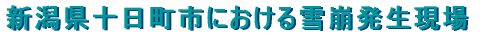V\sɂ 