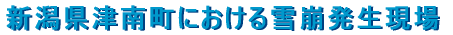 V\sɂ 