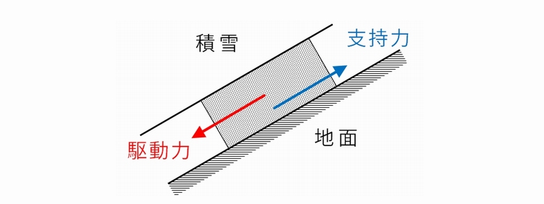斜面上の積雪の模式図。積雪には下向きに駆動力、上向きに支持力が働いています。