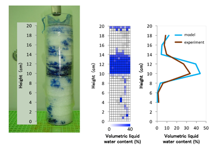 Comparison of the results from the multi-dimensional water transport model and a laboratory experiment on the formation process of preferential flow