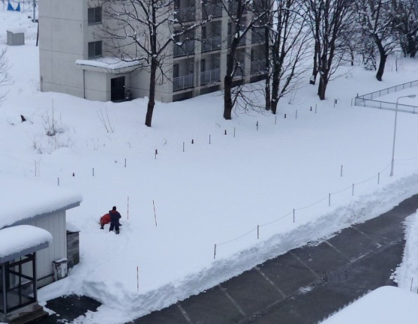 積雪断面観測露場