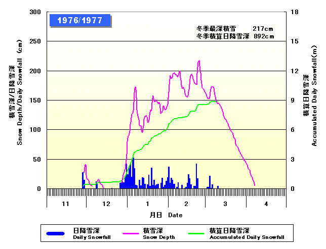 入力してください