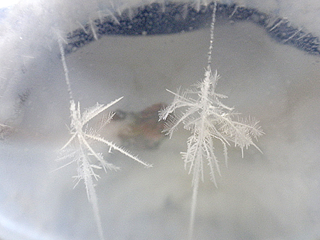 ペットボトル雪結晶の写真